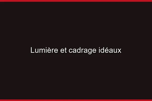 Comprendre le concept